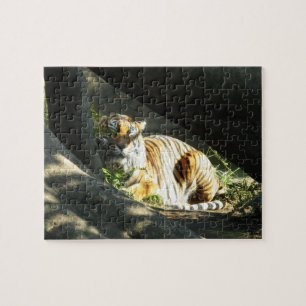Tiger Catnap Legpuzzel