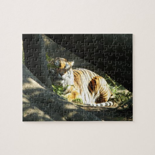 Tiger Catnap Legpuzzel (Horizontaal)