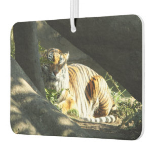 Tiger Catnap Luchtverfrisser