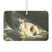 Tiger Catnap Luchtverfrisser (Voorkant)