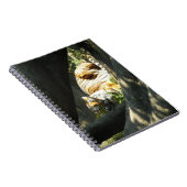 Tiger Catnap Notitieboek (Rechterzijde)
