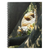 Tiger Catnap Notitieboek (Voorkant)