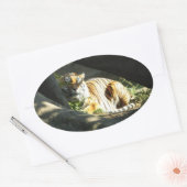 Tiger Catnap Ovale Sticker (Envelop)