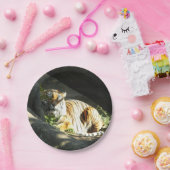 Tiger Catnap Papieren Bordje (Feest)