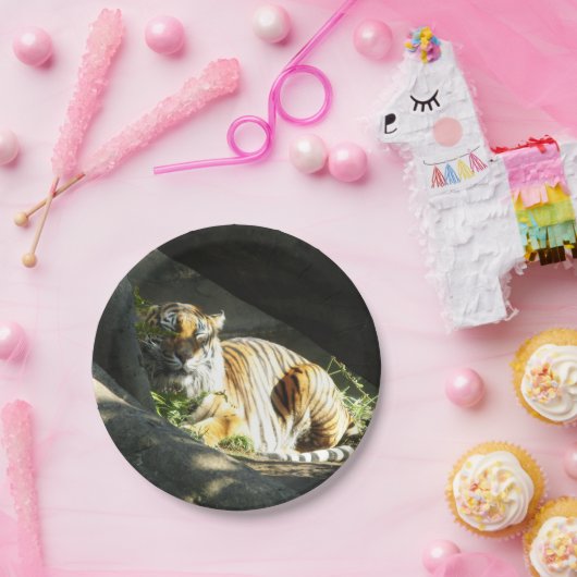 Tiger Catnap Papieren Bordje (Feest)