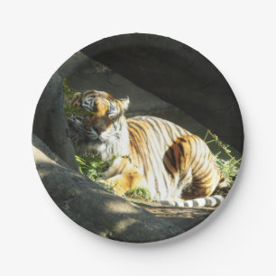 Tiger Catnap Papieren Bordje