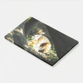Tiger Catnap Post-it® Notes (Schuin)