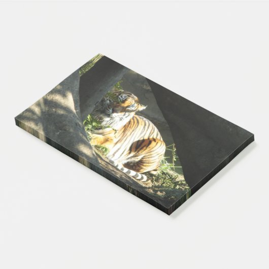 Tiger Catnap Post-it® Notes (Schuin)
