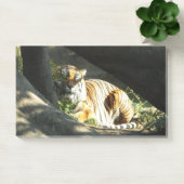 Tiger Catnap Post-it® Notes (Kantoor)