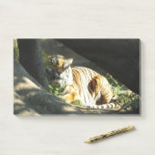 Tiger Catnap Post-it® Notes (Op bureau)