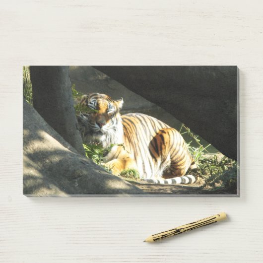 Tiger Catnap Post-it® Notes (Op bureau)