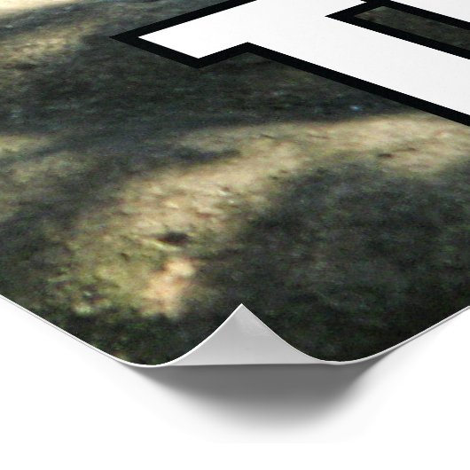 Tiger Catnap Poster (Hoek)