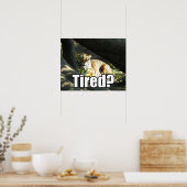 Tiger Catnap Poster (Keuken)