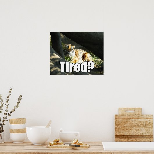 Tiger Catnap Poster (Keuken)