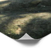 Tiger Catnap Poster (Hoek)