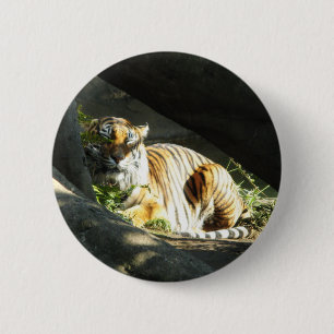 Tiger Catnap Ronde Button 5,7 Cm