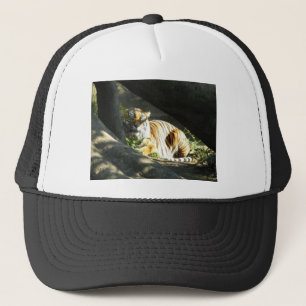 Tiger Catnap Trucker Pet