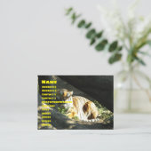 Tiger Catnap Visitekaartje (Staand voorkant)