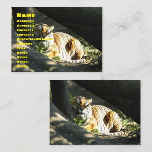 Tiger Catnap Visitekaartje (Voorkant / Achterkant)