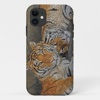 Tiger Cave iPhone 11 Hoesje
