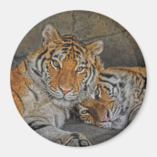 Tiger Cave Magnet