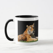 Tiger Closeup Mok (Links)