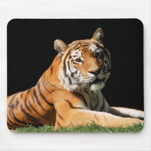Tiger Closeup Muismat (Voorkant)