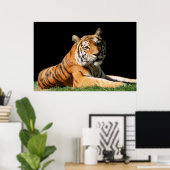Tiger Closeup Poster (Thuiskantoor)