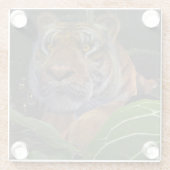 Tiger Crouching in het Oerwoud Glazen Onderzetter (Achterkant)