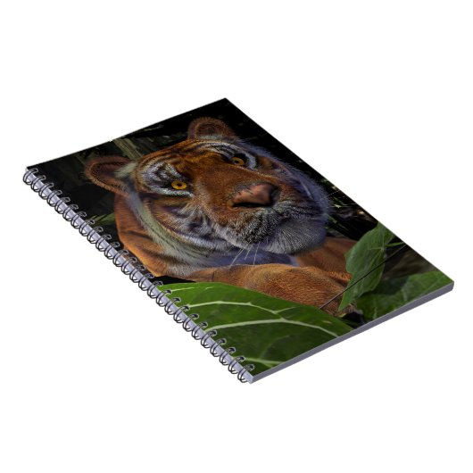 Tiger Crouching in het Oerwoud Notitieboek (Rechterzijde)