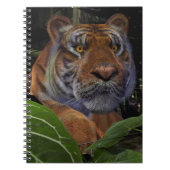 Tiger Crouching in het Oerwoud Notitieboek (Voorkant)