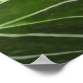 Tiger Crouching in het Oerwoud Poster (Hoek)