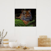 Tiger Crouching in het Oerwoud Poster (Keuken)