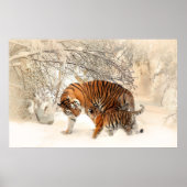 tiger cub and mother in snow poster (Voorkant)