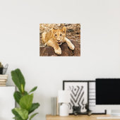 Tiger Cub neemt ademhaling op een rots Poster (Thuiskantoor)