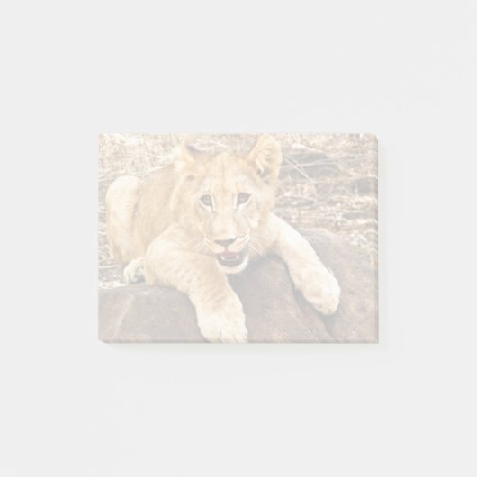 Tiger Cub neemt ademruimte op een rots Post-it® Notes (Voorkant)