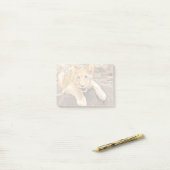 Tiger Cub neemt ademruimte op een rots Post-it® Notes (Op bureau)