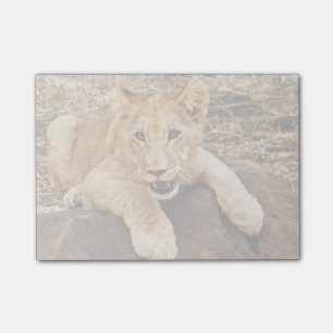 Tiger Cub neemt ademruimte op een rots Post-it® Notes