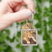 Tiger Cub neemt ademruimte op een rots Sleutelhanger (Hand)