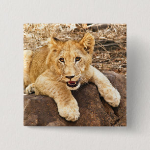 Tiger Cub neemt ademruimte op een rots Vierkante Button 5,1 Cm