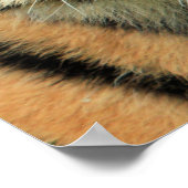 Tiger Cub Portrait Poster (Hoek)