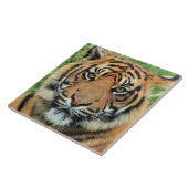 Tiger Cub Portrait Tegeltje (Zijkant)
