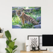 Tiger Cub Portret 2 Poster (Thuiskantoor)