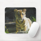 Tiger Cub Portret 4 Muismat (Met muis)