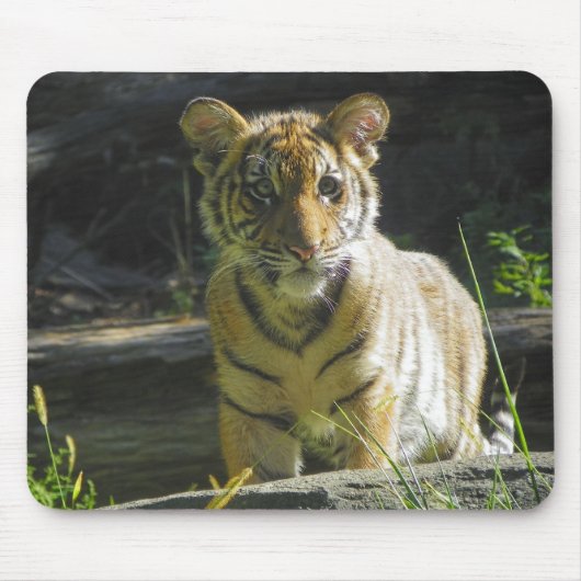 Tiger Cub Portret 4 Muismat (Voorkant)