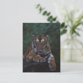 Tiger Cub Reclines on Rock Briefkaart (Staand voorkant)