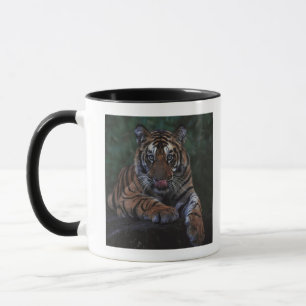Tiger Cub Reclines on Rock Mok