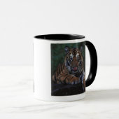 Tiger Cub Reclines on Rock Mok (Voorkant rechts)