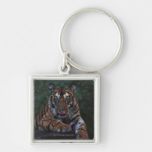 Tiger Cub Reclines on Rock Sleutelhanger