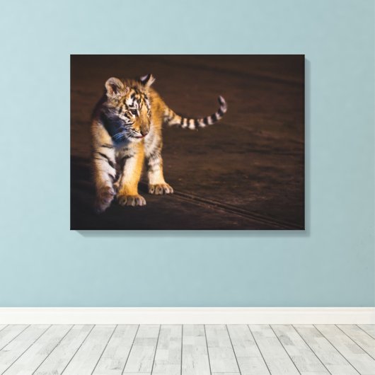 Tiger Cub Walking Canvas Afdruk (Insitu (Houten vloer))